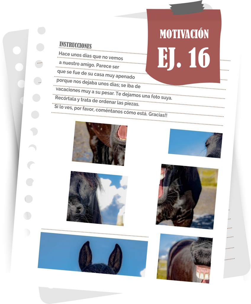 Imagen del ejercicio 16 de motivación