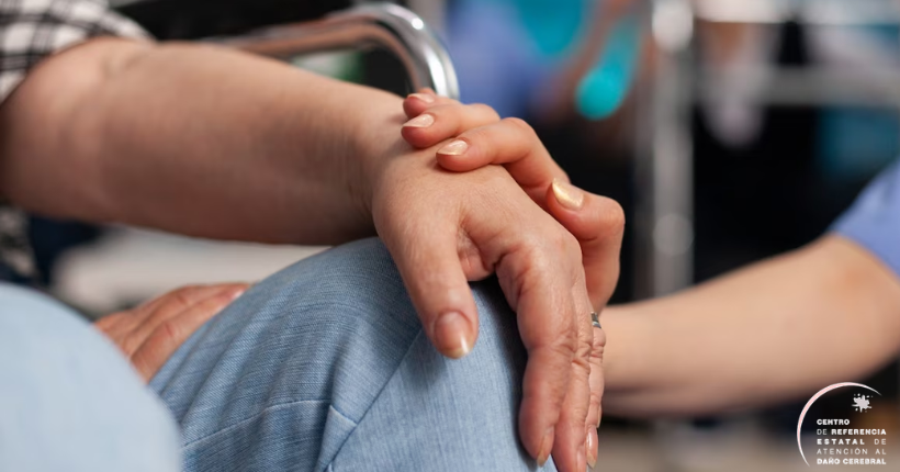 La rehabilitación del daño cerebral adquirido en el ámbito de los servicios sociales