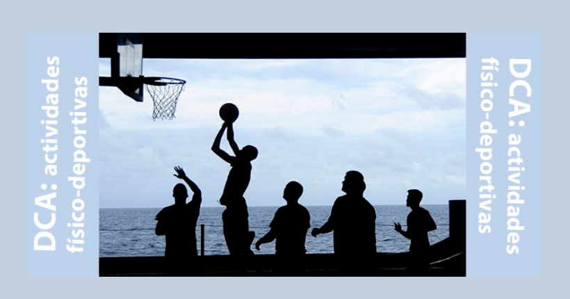 Juegos adaptados para Daño Cerebral Adquirido (DCA): Desplazamiento