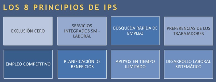 El modelo Individual Placement and Support (IPS) en la intervención en empleo para personas con Trastorno Mental Grave (TMG)
