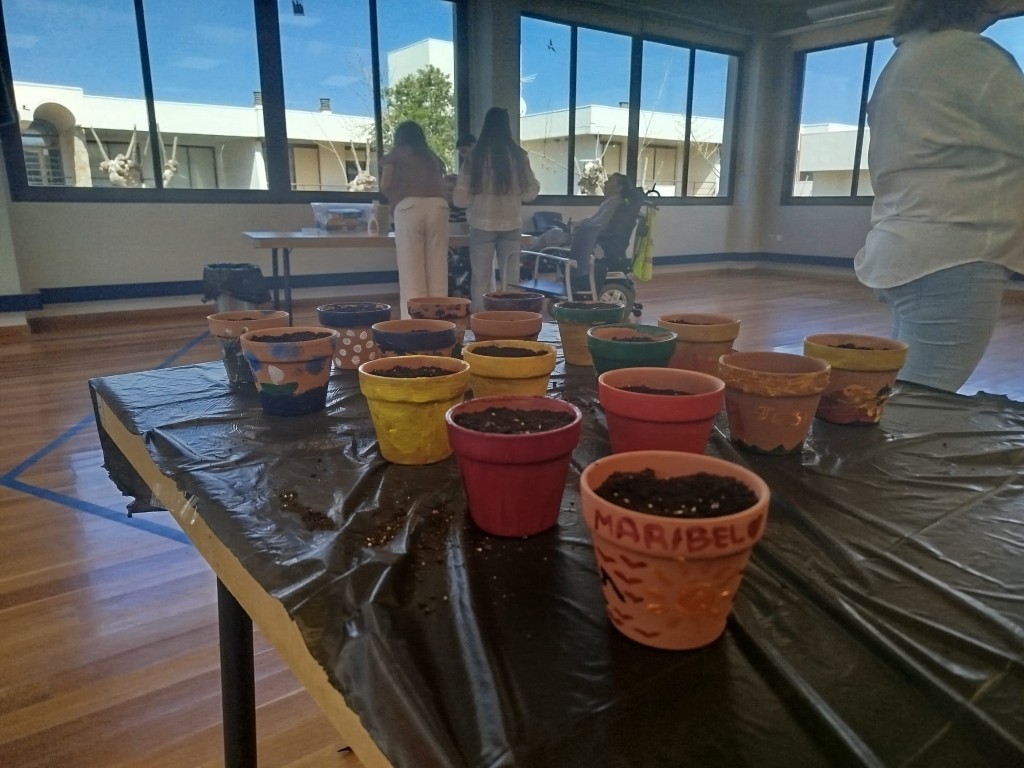 Talleres y dinámicas de sensibilización ambiental y cuidado del entorno.